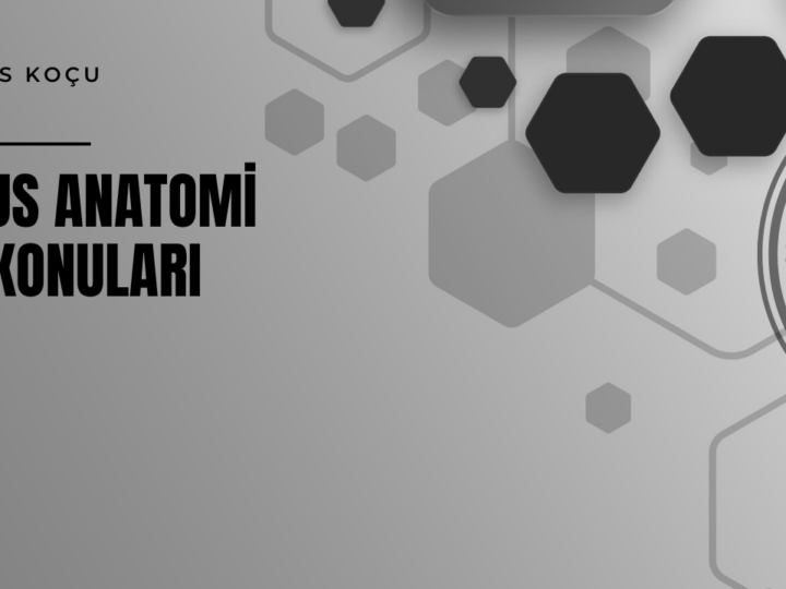 TUS Anatomi Konuları ve Soru Dağılımı 2026